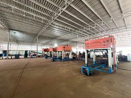  Warehouse for rent in Surat Thani, Si Wichai, Phunphin, Surat Thani