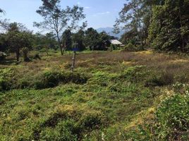  Land for sale in Pai, Mae Hong Son, Mae Hi, Pai