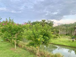2 Bedroom House for sale in Lin Thin, Thong Pha Phum, Lin Thin
