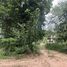  Land for sale in Nakhon Ratchasima, Pru Yai, Mueang Nakhon Ratchasima, Nakhon Ratchasima