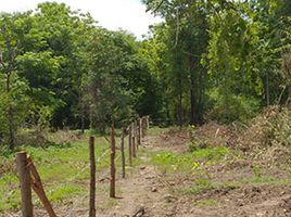  Grundstück zu verkaufen in Chon Daen, Phetchabun, Takut Rai, Chon Daen, Phetchabun