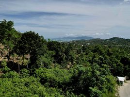  Grundstück zu verkaufen in Koh Samui, Surat Thani, Bo Phut, Koh Samui, Surat Thani