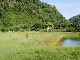  Land for sale in Sichon, Nakhon Si Thammarat, Sao Phao, Sichon