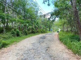  Land for sale in Thalang, Phuket, Mai Khao