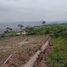  Land for sale in Eastern, Akwapim South, Eastern