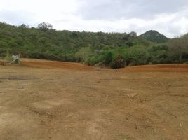  Grundstück zu verkaufen in Sam Roi Yot, Prachuap Khiri Khan, Sam Roi Yot, Sam Roi Yot, Prachuap Khiri Khan