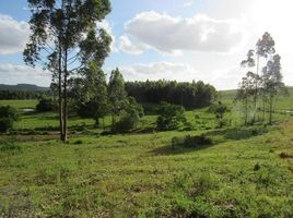  Land for sale in Sapiranga, Sapiranga, Sapiranga