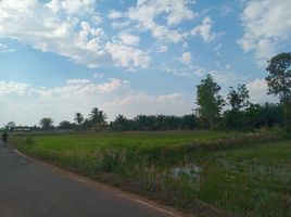  Land for sale in Phibun Mangsahan, Ubon Ratchathani, Nong Bua Hi, Phibun Mangsahan