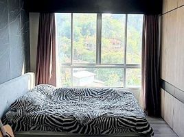Studio Condo for sale at Dcondo Campus Resort Kuku Phuket, Ratsada