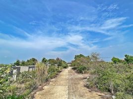  Land for sale in Pluak Daeng, Rayong, Map Yang Phon, Pluak Daeng