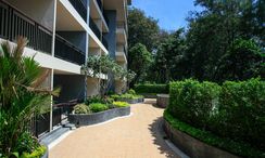 图片 2 of the Communal Garden Area at The Unity Patong