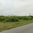  Land for sale in Thailand, Bo Phlap, Mueang Nakhon Pathom, Nakhon Pathom, Thailand