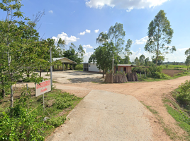  Grundstück zu verkaufen in Chatturat, Chaiyaphum, Nong Don, Chatturat