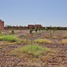  Land for sale in Morocco, Loudaya, Marrakech, Marrakech Tensift Al Haouz, Morocco