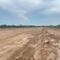  Land for sale in Suphan Buri, Nong Makha Mong, Dan Chang, Suphan Buri