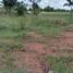  Land for sale in Thap Rat, Sa Kaeo, Thap Rat, Ta Phraya, Sa Kaeo