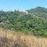  Land for sale in Los Santos, Cambutal, Tonosi, Los Santos