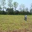  Land for sale in Saraphi Chiang Mai, Chomphu, Saraphi