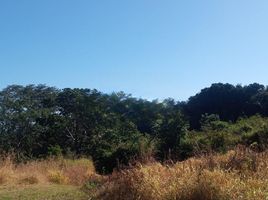  Land for sale in Jutiapa, Atlantida, Jutiapa