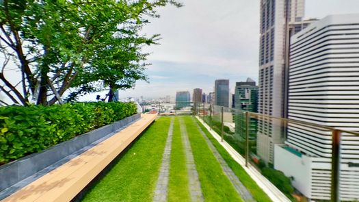 写真 1 of the Communal Garden Area at Noble Recole