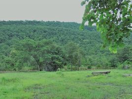 Land for sale in Khon Kaen, Phu Wiang, Phu Wiang, Khon Kaen