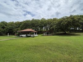 4 Schlafzimmer Haus zu verkaufen in Chame, Panama Oeste, Chame, Chame