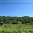  Land for sale in Taquara, Rio Grande do Sul, Pega Fogo, Taquara