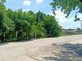  Land for sale in Ta-Ong, Mueang Surin, Ta-Ong