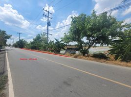  Land for sale in Nara Phirom, Bang Len, Nara Phirom