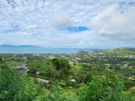  Grundstück zu verkaufen in Koh Samui, Surat Thani, Bo Phut, Koh Samui