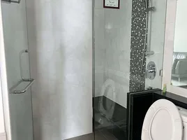 คอนโด 1 ห้องนอน ให้เช่า ในโครงการ Supalai Elite Surawong, สี่พระยา, บางรัก, กรุงเทพมหานคร, ไทย