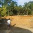  Land for sale in Mueang Phangnga Phangnga, Tham Nam Phut, Mueang Phangnga