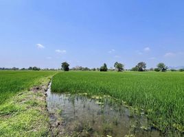  Land for sale in Sao Hai Saraburi, Hua Pluak, Sao Hai