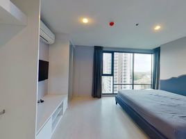 2 спален Кондо в аренду в Rhythm Sukhumvit 42, Phra Khanong