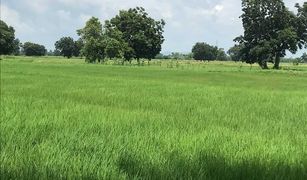 N/A Land for sale in Bang Phueng, Lop Buri 