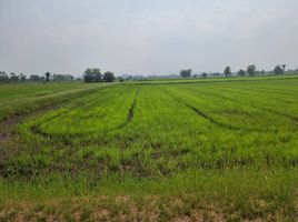  Land for sale in Tha Chumphon, Photharam, Tha Chumphon