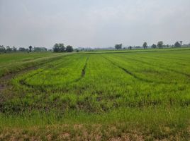  Grundstück zu verkaufen in Photharam, Ratchaburi, Tha Chumphon, Photharam