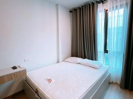 1 Schlafzimmer Appartement zu vermieten im BRIXTON Pet and Play Sukhumvit 107, Bang Na, Bang Na