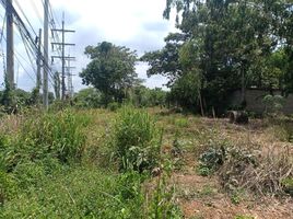  Land for sale in Nong Phrong, Si Maha Phot, Nong Phrong