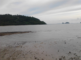  Grundstück zu verkaufen in Koh Samui, Surat Thani, Taling Ngam