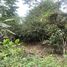  Land for sale in Montalvo, Los Rios, Montalvo, Montalvo, Los Rios