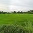  Land for sale in Banphot Phisai, Nakhon Sawan, Nong Krot, Banphot Phisai