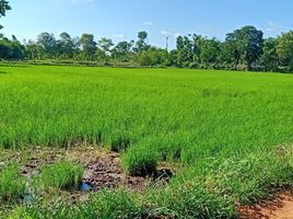  Land for sale in Mueang Chaiyaphum, Chaiyaphum, Nong Na Saeng, Mueang Chaiyaphum