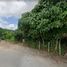  Land for sale in Phuket, Kathu, Kathu, Phuket