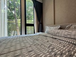 1 Bedroom Apartment for rent at The Base Uptown, Ratsada, Phuket Town