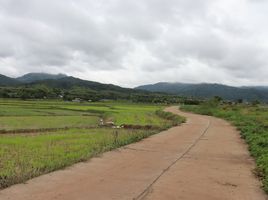  Grundstück zu verkaufen in Pua, Nan, Pua