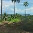  Land for sale in Lipa Noi, Koh Samui, Lipa Noi