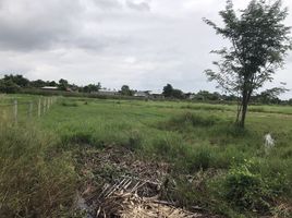  Grundstück zu verkaufen in Buak Khang, Chiang Mai, Buak Khang, San Kamphaeng, Chiang Mai