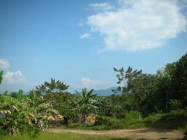  Land for sale in Phangnga, Kalai, Takua Thung, Phangnga