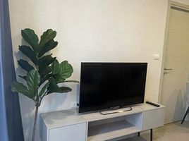 1 Schlafzimmer Appartement zu verkaufen im Quintara Treehaus Sukhumvit 42, Phra Khanong